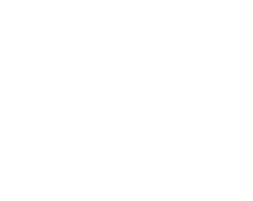Smart - i Camp Logo